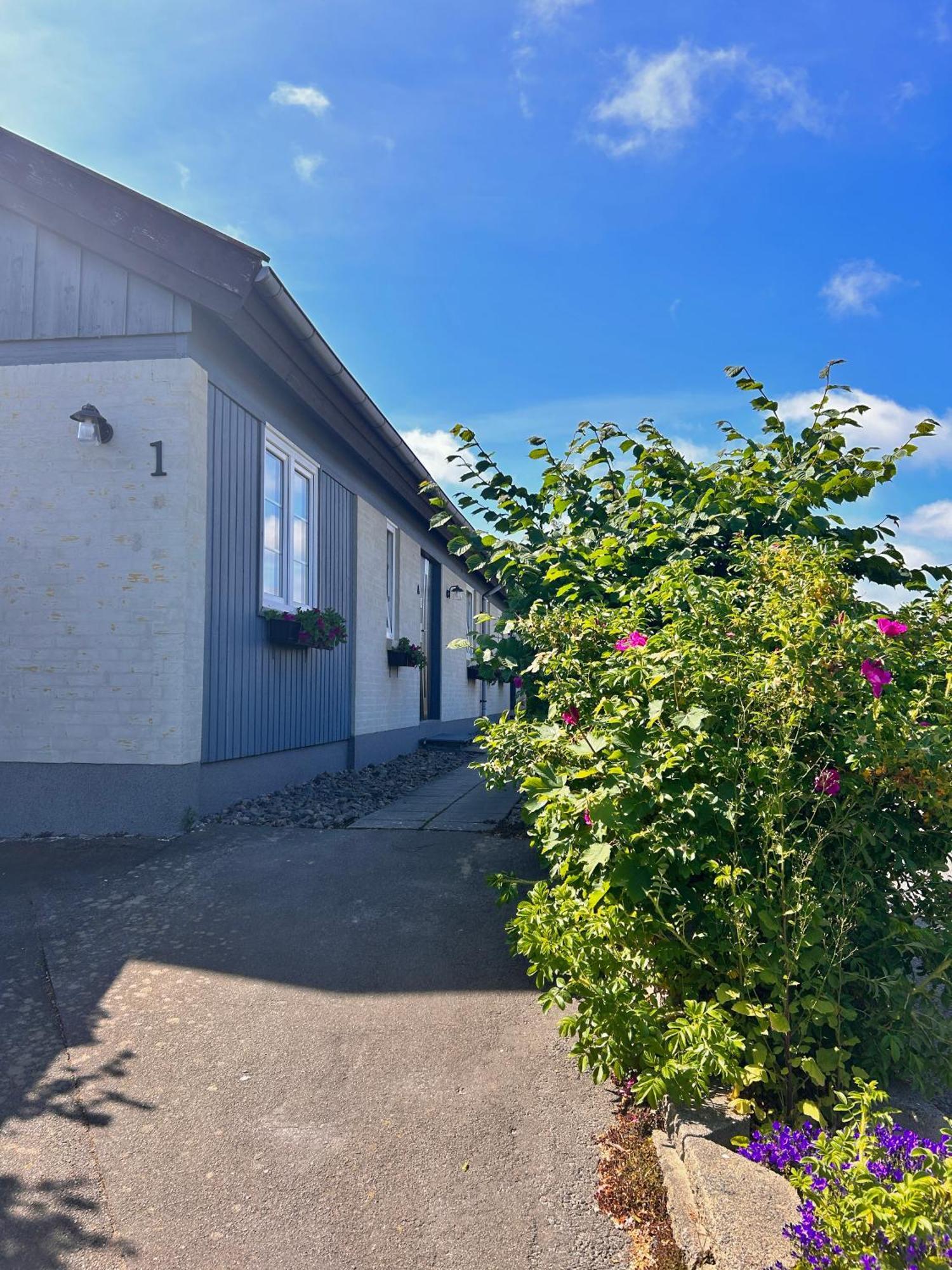 Apartamenty Neksø Buitenkant foto