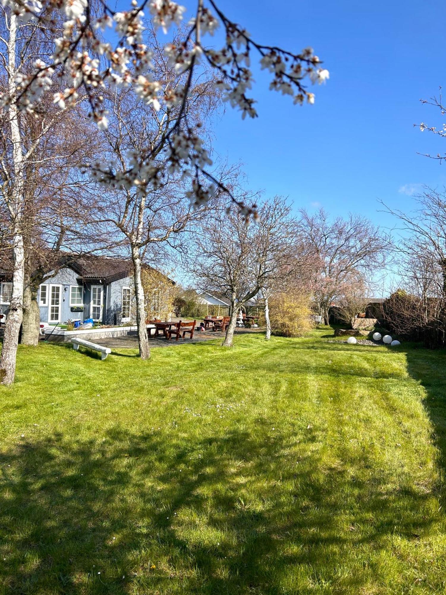 Apartamenty Neksø Buitenkant foto